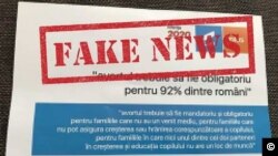 Pliant electoral mincinos din campania electorală românească de anul trecut