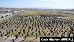 هزاران تن در سراسر افغانستان در امتحان کانکور اشتراک کرده اند