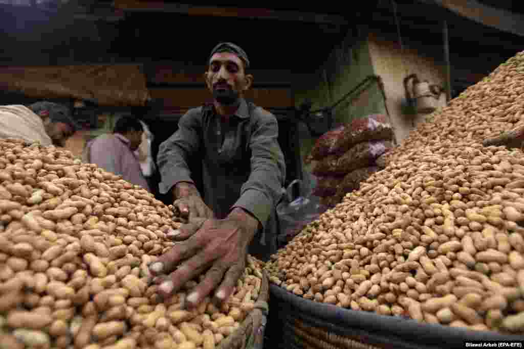 Peşawarda, ýol ýakasynda arahis satýan sdatyjy. Pakistan. (epa-EFE/Bilawal Arbab)