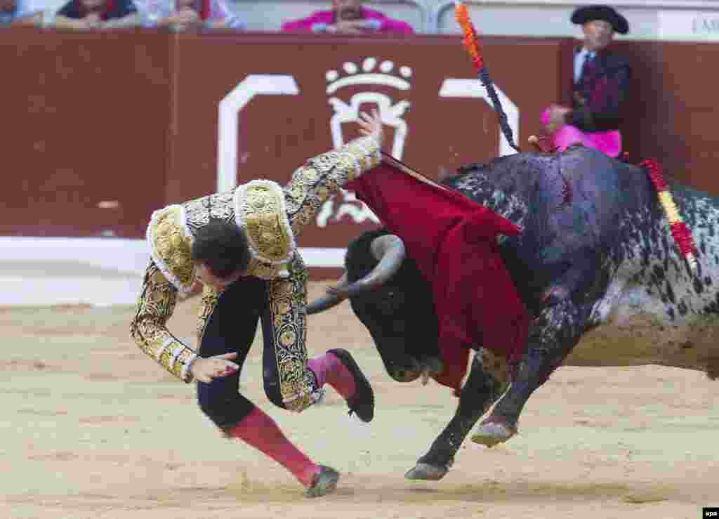 Jose Miguel Perez, who fights under the nom-de-gore :-) of "Joselillo," is turned over by the bull as he enters to kill during his bullfight at the Virgen Blanca Vitoria Fair in Vitoria, Spain. (EPA/Adrian Ruiz de Hierro)