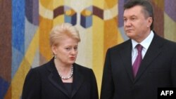 Даля Ґрібаускайте і Віктор Янукович під час переговорів у Києві, 22 листопада 2011 року