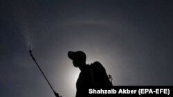 يو روغتيايي کارکوونکی د کورونا وایرس مخنيوي لپاره جراثيم ضد دوا پاشي