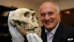 Давид Лордкипанидзе, директор Национального музея Грузии, с черепом "Человека прямоходящего"