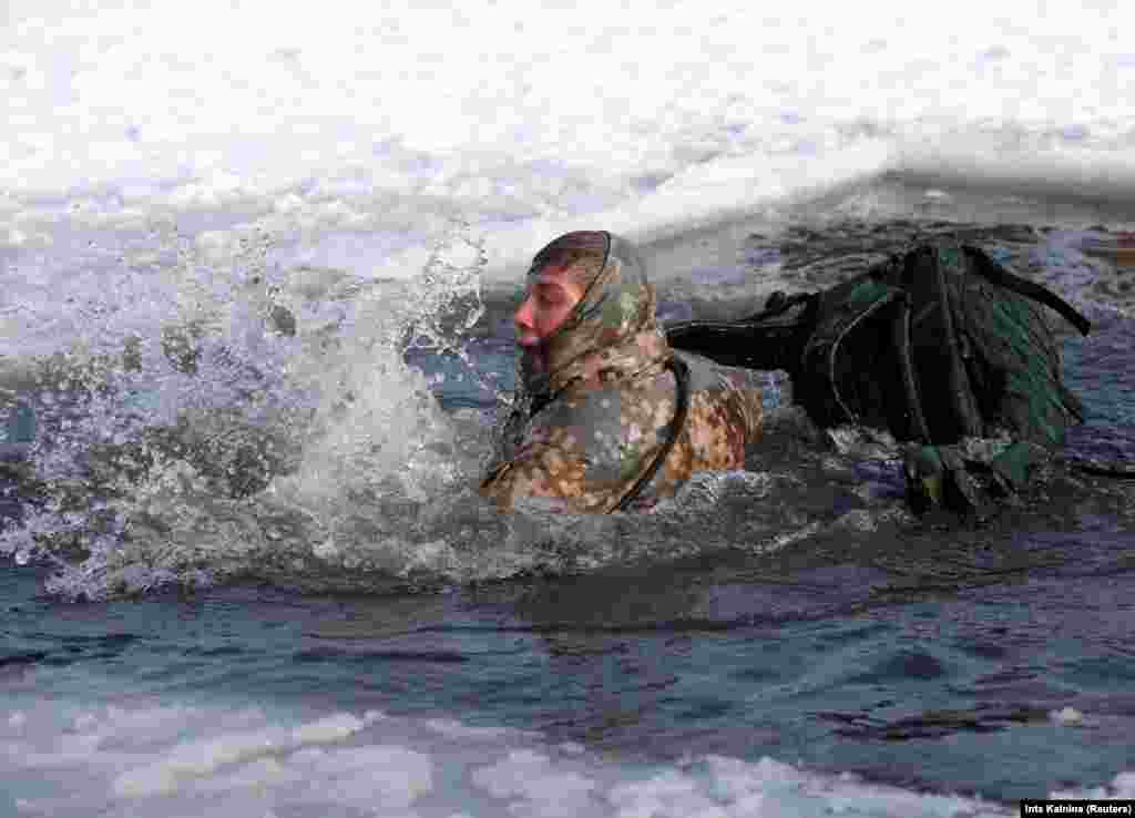 A NATO soldier swims in icy water during a winter survival exercise in Adazi, Latvia. (Reuters/Ints Kalnins)