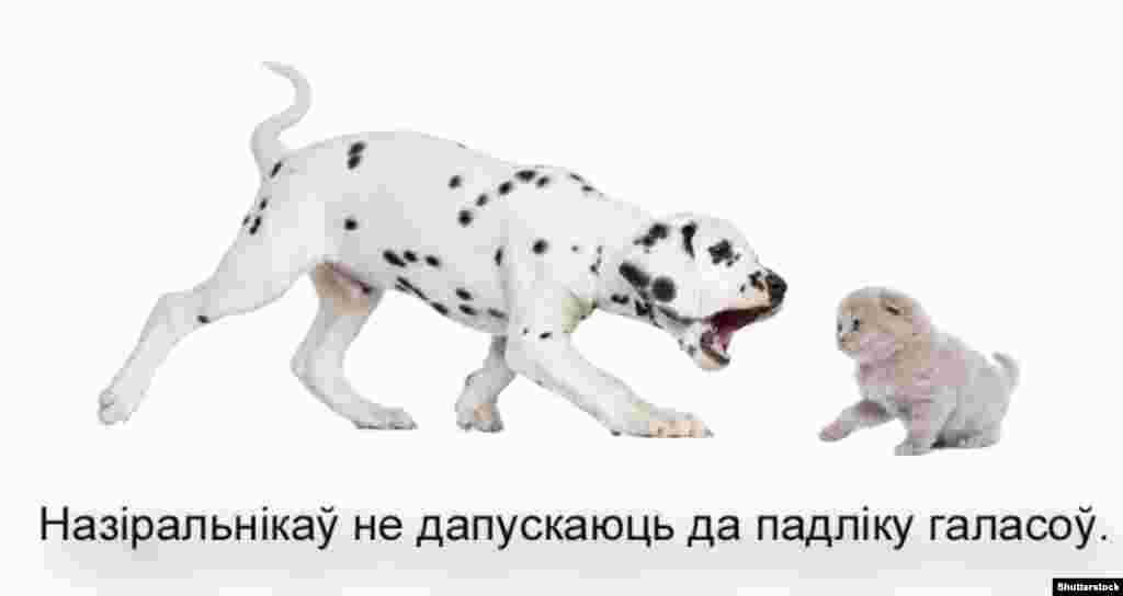 Назіральнікаў не дапускаюць да падліку галасоў.