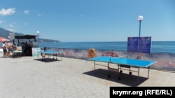 В настольный теннис на пляже «Дельфин» можно сыграть за 200 рублей в час