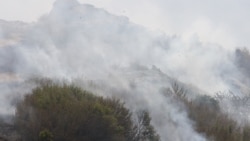 Архива - пожар во Прилепско
