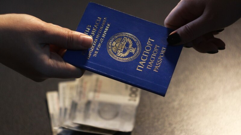 Четте табылган кыргыз паспорту  боюнча маселе парламентте көтөрүлдү