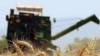  «افزایش» واردات گندم ایران در هفته‌های اخیر