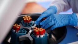 Медицинский работник с образцами крови во время тестирования на коронавирусную инфекцию. Иллюстративное фото.