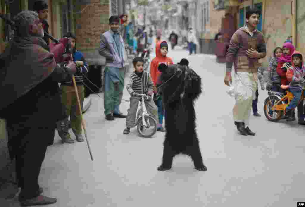 A Pakistani performer makes a bear dance for bystanders in a street in Rawalpindi, Pakistan, on January 16. (AFP/Farooq Naeem)