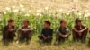 Afghan children sitting next to a poppy field in Argo district of Badakhshan Province on June 6.