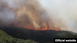 Архивска фотографија: Пожар во близина на Требовље. Фото: ЦУК