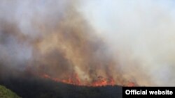 Пожар во близина на Требовље. Фото: ЦУК