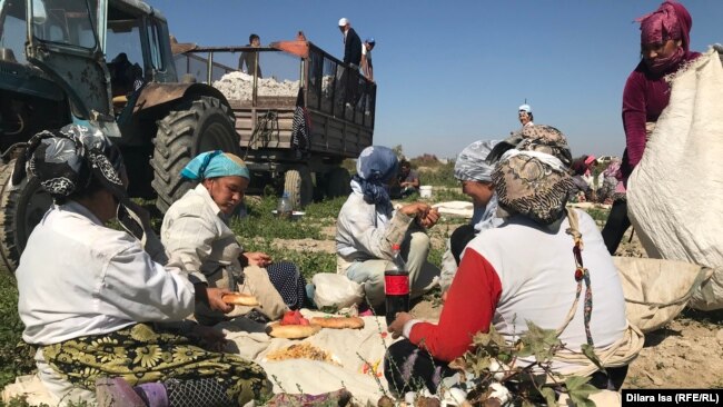 Сборщицы хлопка во время обеденного перерыва. Туркестанская область, 2 октября 2018 года.