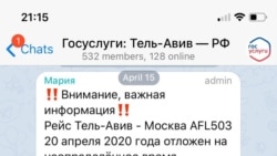 Скриншот из официального Телеграм-канала для россиян, кто не может вернуться на родину