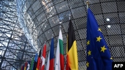 Флаги Евросоюза и государств, входящих в него.