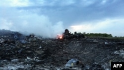 У авіакатастрофі на Донеччині загинуло 295 людей, 17 липня 2014