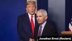 Presidenti Donald Trump dhe Anthony Fauci. 