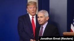 Anthony Fauci și președintele Donald Trump