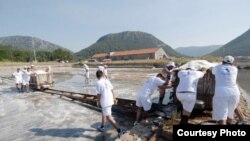 Berači soli u stonskoj solani, foto: Dubrovački vjesnik/Željko Tutnjević