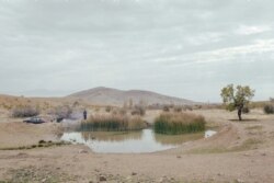 A pond near Lake Urmia photographed by Solmaz Daryani in 2015