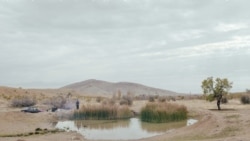 Jezerce pored jezera Urmija uslikano 2015. godine od strane Šolmaz Darjani