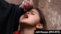 تطبیق وکسین پولیو یا (ضد فلج کودکان) افغانستان ۱۸ فبروری ۲۰۱۹ 