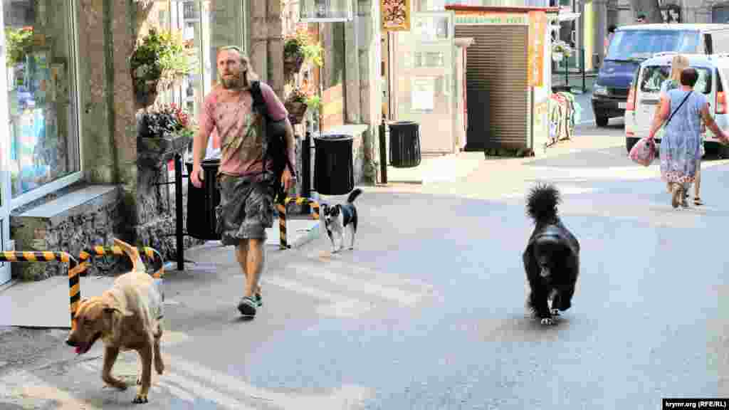 Вместе с горожанами и туристами по улицам бегают немало бродячих собак