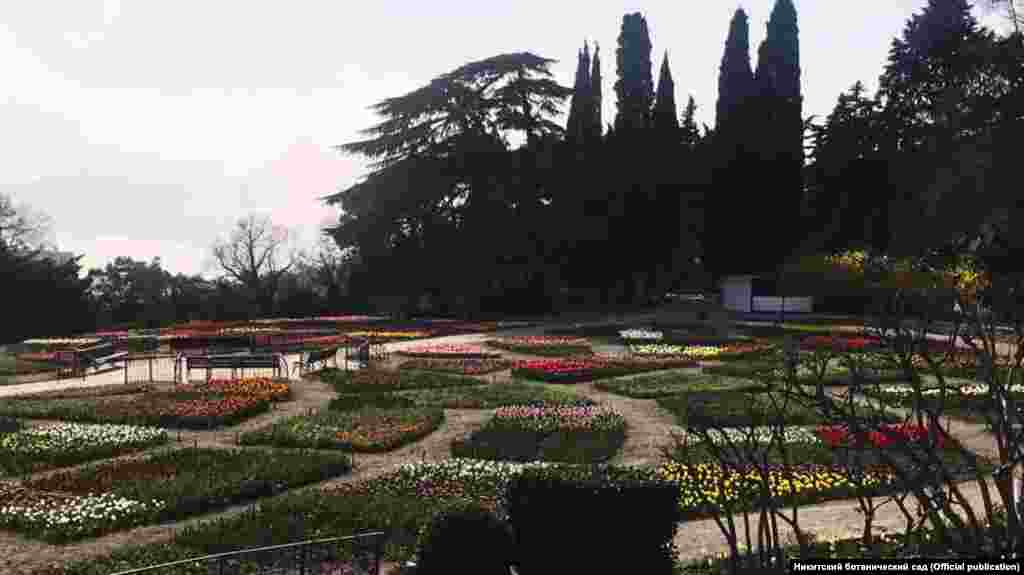 В&nbsp;&laquo;Параде тюльпанов&raquo; в Никитском ботаническом саду принимают участие&nbsp;сто тысяч цветов двух сортов