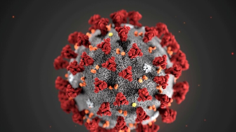 America: aproape 3 milioane de infectări cu coronavirus și 130.000 de decese puse pe seama lui