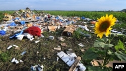 Wreckage of Malaysia Airlines Flight 17 on July 19, 2014