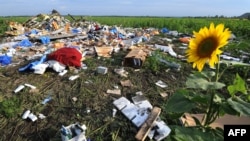Уламки «Боїнга», збитого в небі над Донбасом, липень 2014 року