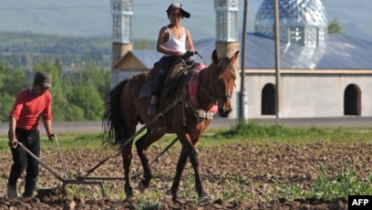 Қызғылт шілтердегі порно