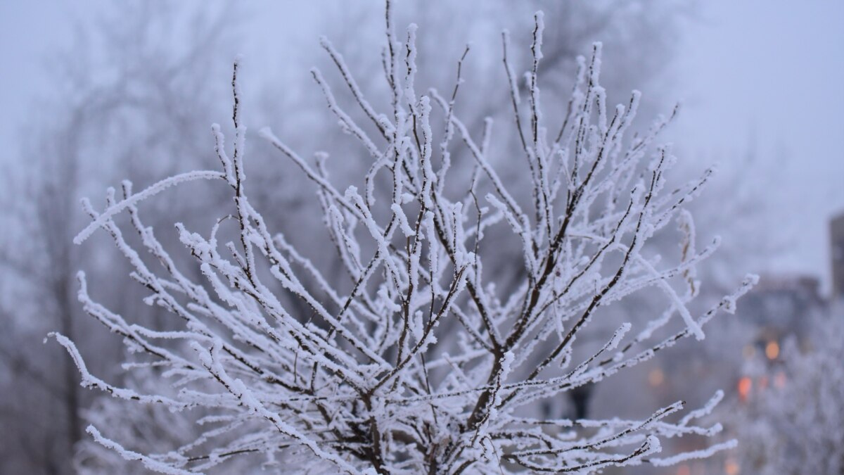 Українців попереджають про нічні 22 градуси морозу подекуди на сході та в Карпатах