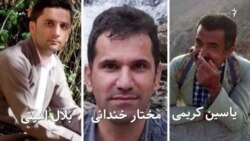 جان باختن سه فعال محیط زیست در آتش‌سوزی‌های غرب ایران