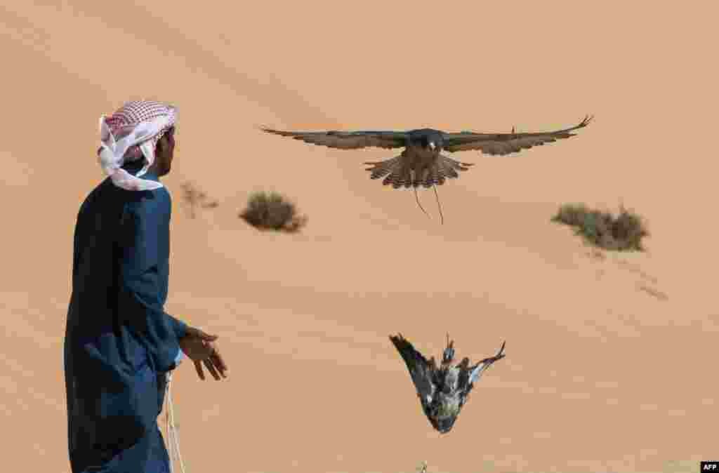 An Emirati falconer trains his bird during the Liwa Moreeb Dune Festival in the Liwa desert, some 250 kilometers southwest of Abu Dhabi, United Arab Emirates. (AFP/ Karim Sahib)