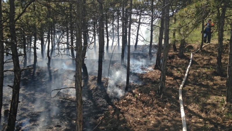 Лесной пожар под Симферополем: горит уже более 50 гектаров 