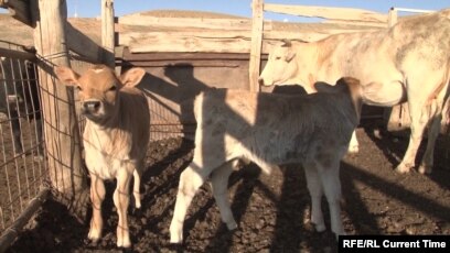 Кішкентай киска секс