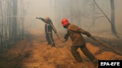 Како украинските пожарникари се бореа со пожарот околу Чернобил