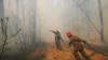 Гасіння пожеж у Чорнобильській зоні триває близько двох тижнів