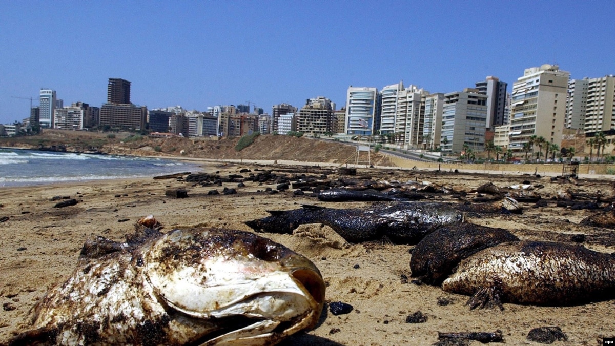 Lebanon Oil Spill Causing Ecological Crisis