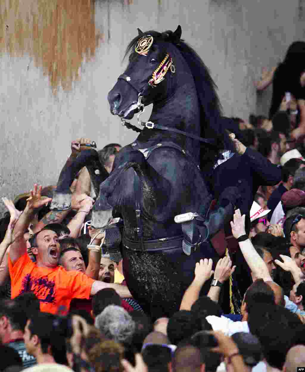 A horse rears in a crowd during a parade at the traditional San Juan festival in the town of Ciutadella on the Balearic Island of Menorca. (AFP/Jaime Reina)
