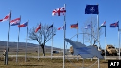 В Тбилиси считают, что членство в НАТО прежде всего состоит в интересах Грузии, а не только США и Европы