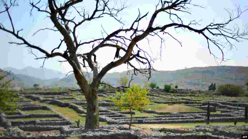A view of an area in Taxila in Pakistan&#39;s Punjab Province