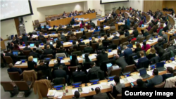 U.N. General Assembly's Third Committee in session. Photo courtesy of Center for Human Rights