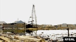 1 hektar neftlə çirklənmiş ərazinin təmizlənməsinə 200 min dollara qədər pul xərclənir