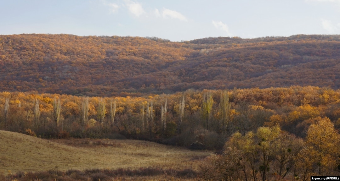 Samoe Malenkoe Selo Kryma Kak Zhivet Pchelinoe Fotogalereya