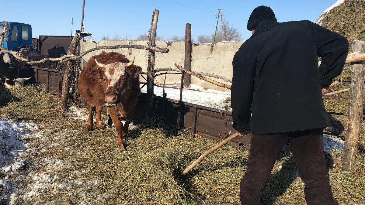 Самозанятые, которых пытаются вывести из тени