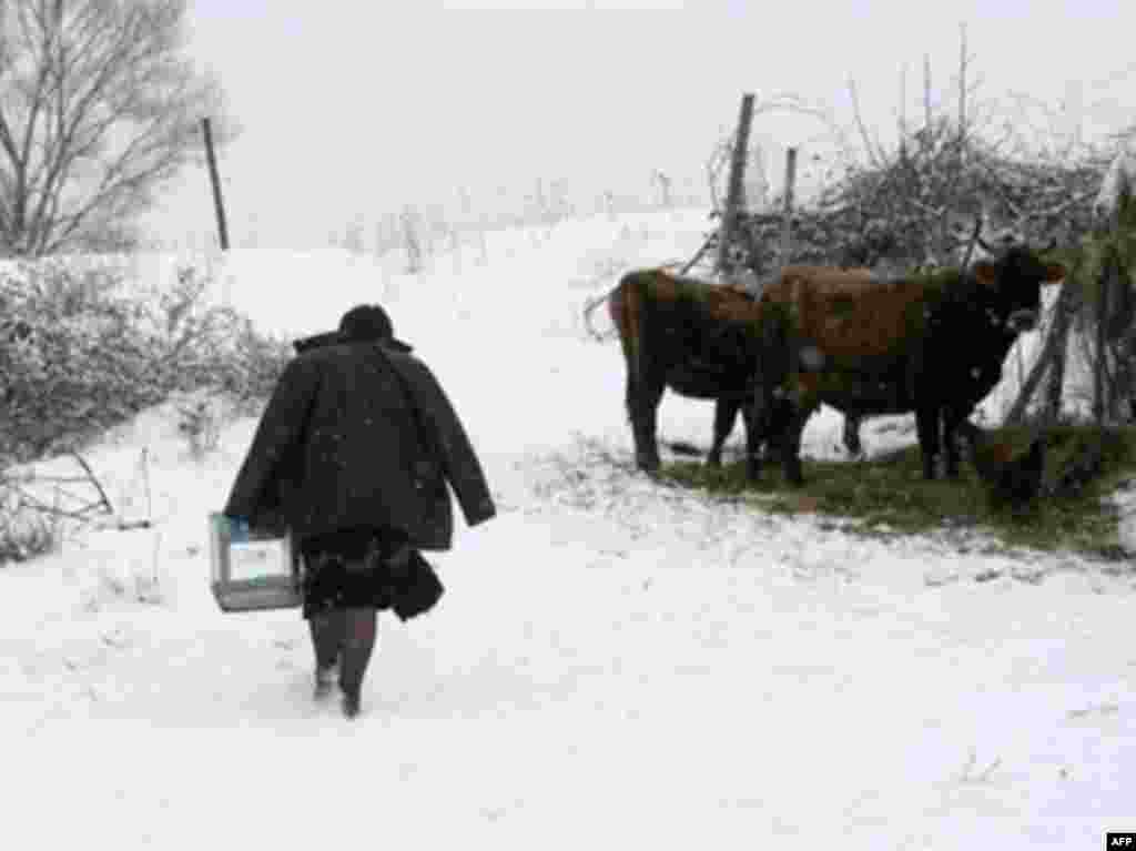 Член избирательной комиссии идет с переносной урной к больным и престарелым избирателям. Деревня Тохлиаури (около 60-ти километров от Тбилиси) 05 января 2008.